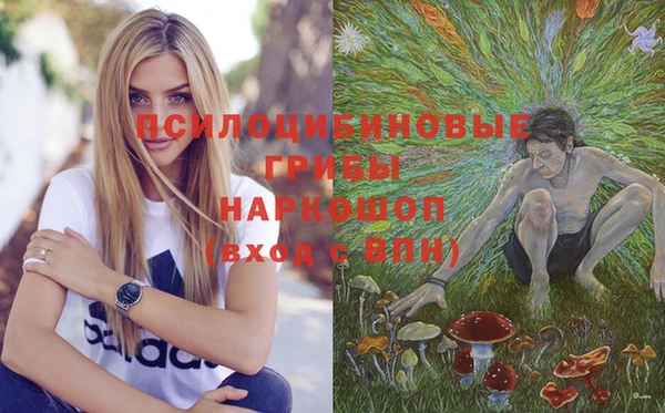 мет Белокуриха