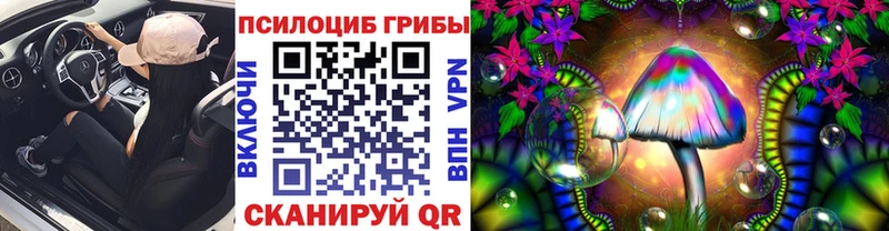 Галлюциногенные грибы MAGIC MUSHROOMS Гусев