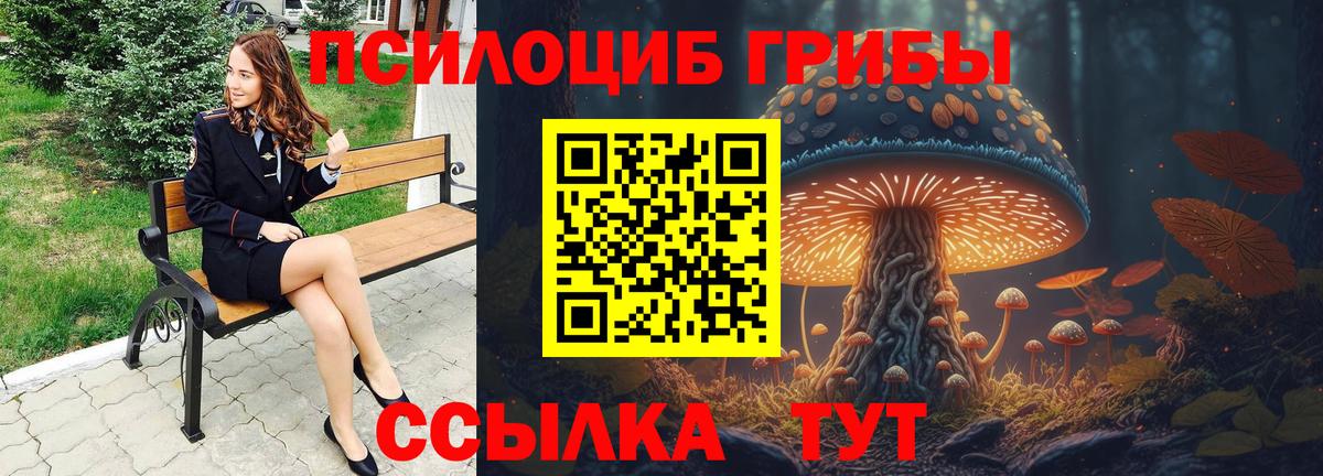 Гусев  как найти закладки  Галлюциногенные грибы Cubensis  Вход с VPN  Псилоцибиновые грибы ЛСД 