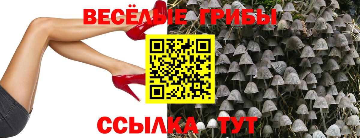 Галлюциногенные грибы Magic Shrooms Гусев
