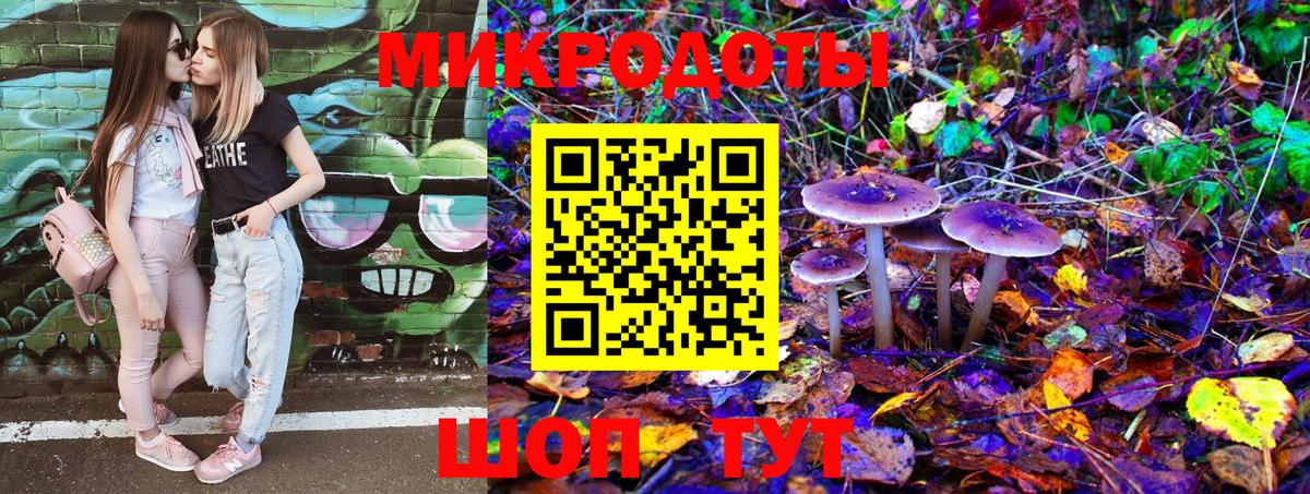 Псилоцибиновые грибы Psilocybine cubensis  Псилоцибиновые грибы Psilocybine cubensis  Гусев 