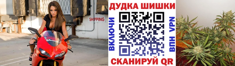 Марихуана гибрид цена Гусев
